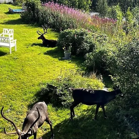 Koselig Leilighet Med Utsikt Apartment