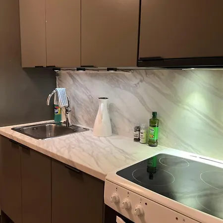 Koselig Leilighet Med Utsikt Appartement